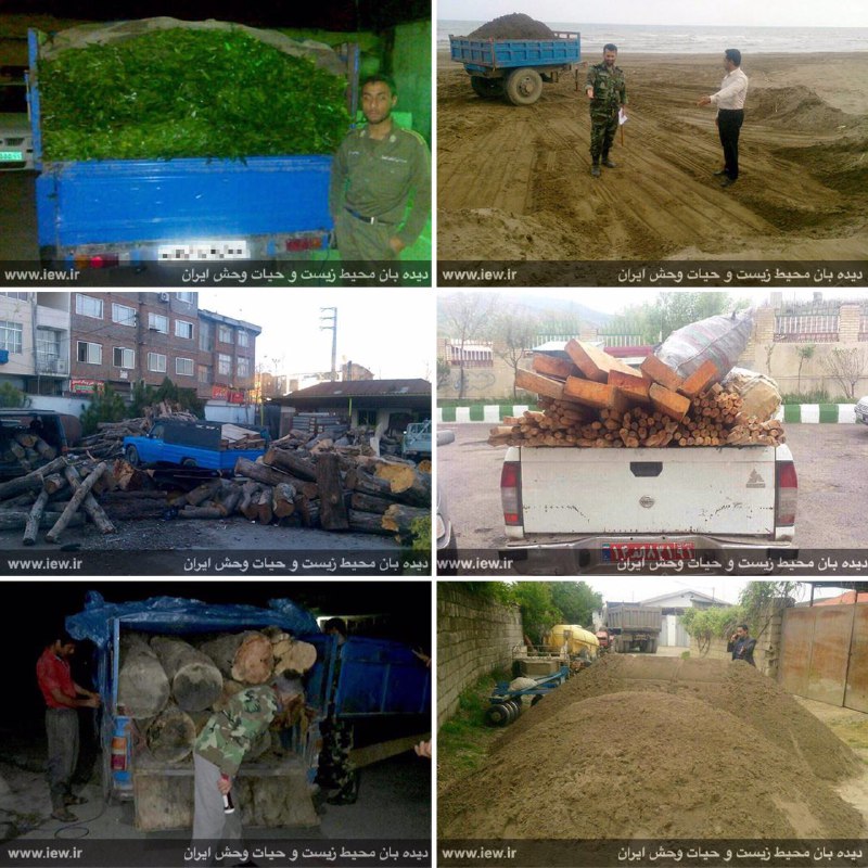 عملکرد یگان منابع طبیعی در نقاط مختلف کشور:.. کشف چوب آلات جنگلى قاچاق در اردبیل، آمل و بندرگز