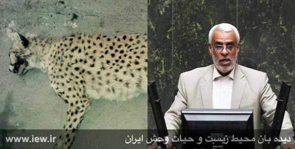 نگرانى نایب رئیس کمیسیون اجتماعی مجلس از سونامی مرگ یوزهای ایرانی