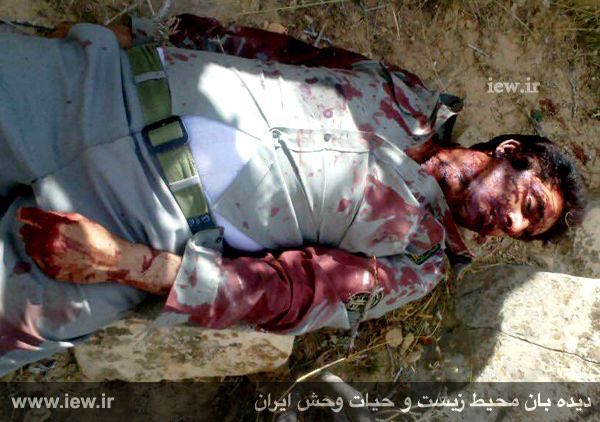 متاسفانه دقایقى قبل منوچهر شجاعى محیطبان پارک ملى بمو که عصر امروز در درگیرى با شکارچیان متخلف مجروح شده بود بر اثر شدت جراحات وار