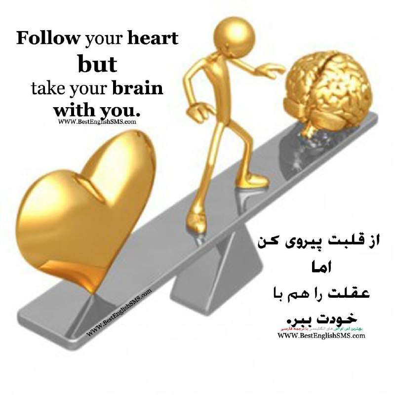 از قلبت پیروی کن اما عقلت را هم با خودت ببر …