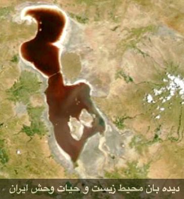 جدیدترین تصویر ماهواره ناسا از دریاچه ارومیه موبوط به تاریخ ١٣٩٥/٣/٢٥.. دیده بان محیط زیست.. www