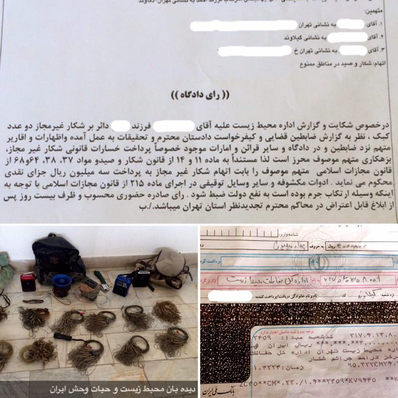 عامل زنده گیرى دو کبک در دماوند علاوه بر پرداخت چهار میلیون ریال ضرر و زیان وارده به محیط زیست به جزاى نقدى و مصادره کلیه ادوات صی