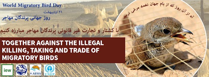 روز جهانی پرندگان مهاجر گرامى باد.. www