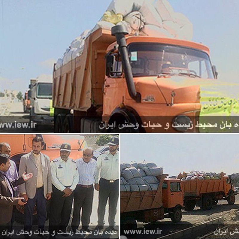 محموله بزرگ قاچاق گیاهان دارویی شامل پنج دستگاه کامیون حامل ۸ هزار و ٣٠٠ کیلوگرم آویشن در جنوب کرمان توقیف شد