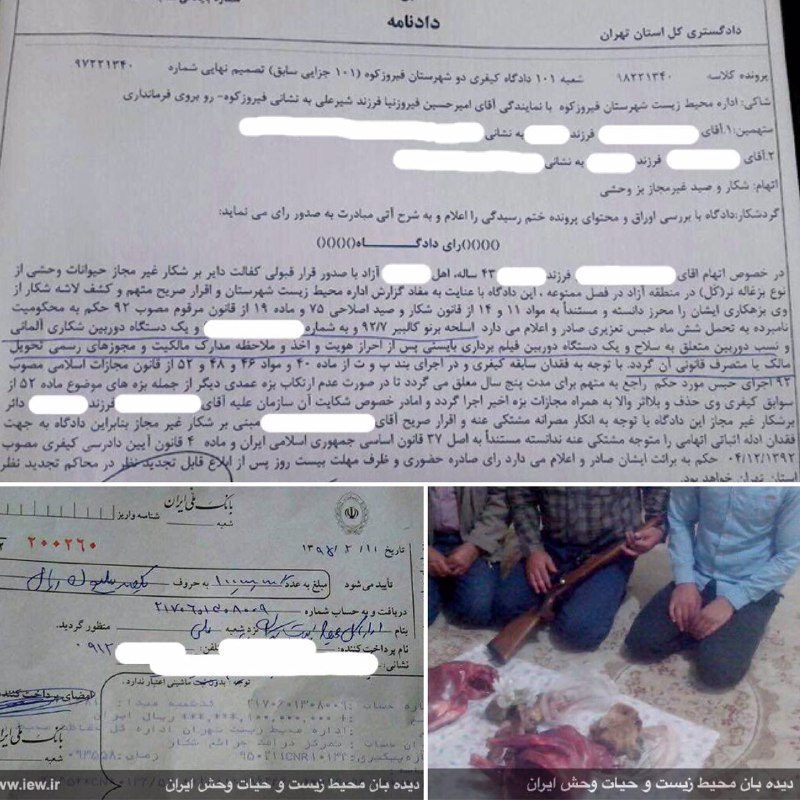 عامل شکار غیرمجاز یک بزغاله وحشی در فیروزکوه علاوه بر پرداخت یکصد میلیون ریال جزای نقدی به تحمل شش ماه حبس محکوم شد
