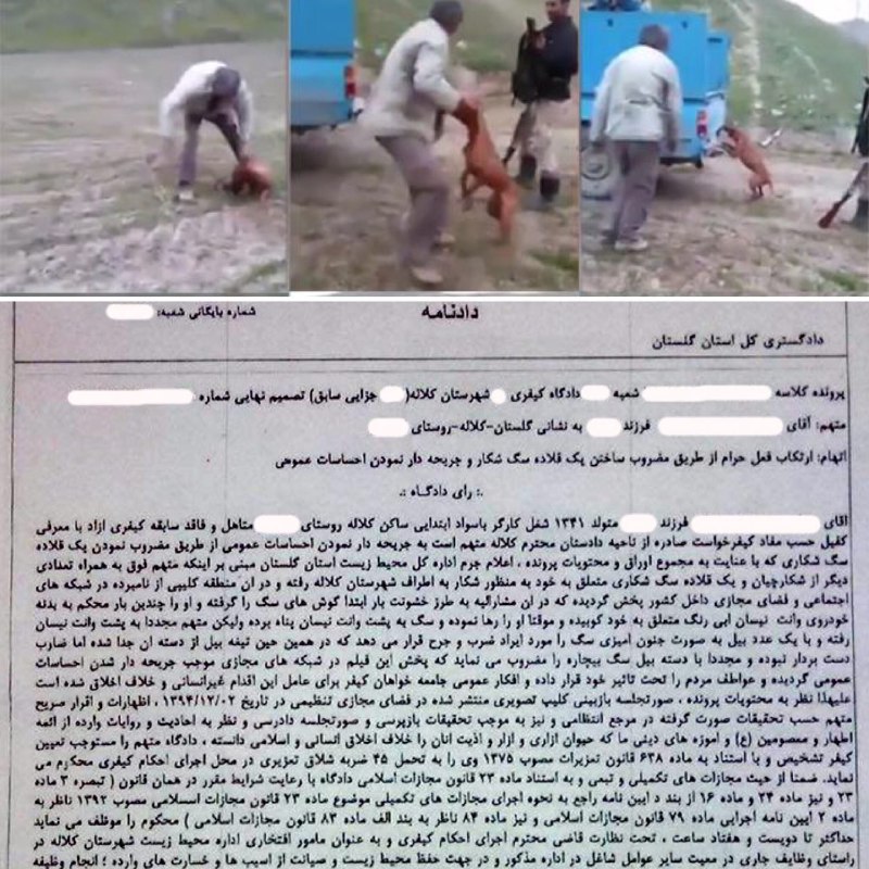 عامل ضرب و جرح بیرحمانه یک سگ در گلستان به تحمل ۴۵ ضربه شلاق و ۲۷۰ ساعت کار اجباری در اداره محیط زیست محکوم شد …دیده بان محیط زیست