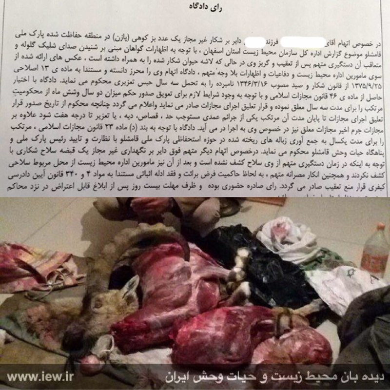 عامل شکار یک کل وحشی در پارک ملی قمیشلو به تحمل سه سال حبس محکوم شد …دیده بان محیط زیست. www. iew
