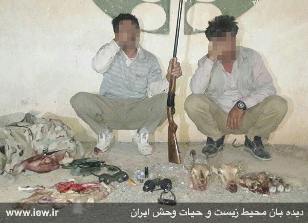 عاملین شکار یک کل و یک بز وحشى به همراه یک قبصه اسلحه قاچاق در پارک ملی کلاه قاضی اصفهان دستگیر شدند