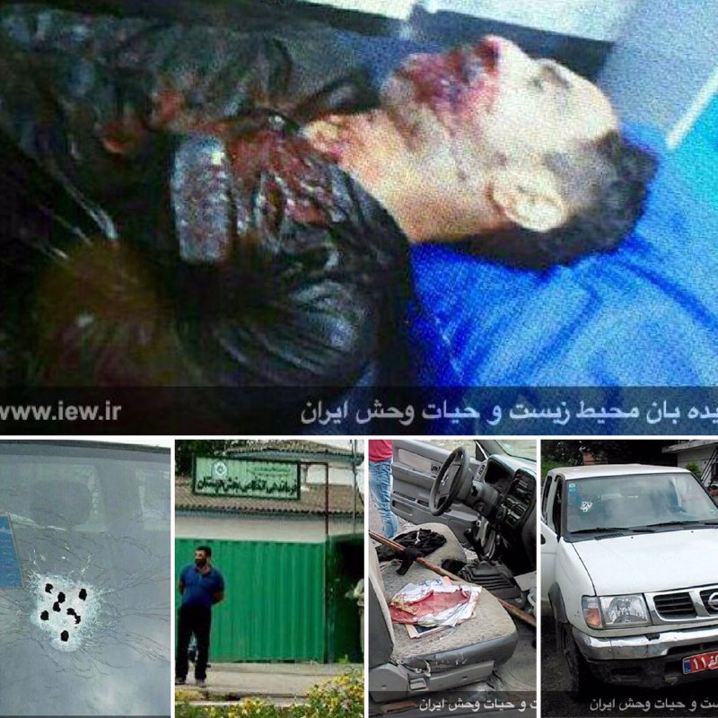 جزئیات کامل حادثه شهادت جنگلبان شهرستان نور توسط قاچاقچیان چوب و بازداشت ضاربین …جزئیات در. www