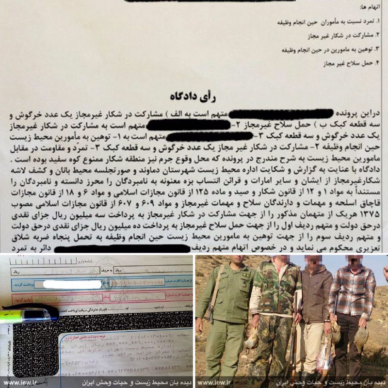 شکارچى متخلف در شهرستان دماوند علاوه بر جریمه نقدى بابت شکار غیرمجاز خرگوش و کبک، به جرم توهین به محیطبانان حین انجام وظیفه به تحم