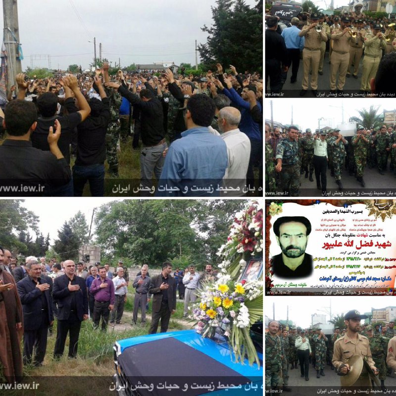 پیکر پاک جنگلبان شهید فضل اله علی پور با حضور رییس سازمان جنگلها، نیروهاى منابع طبیعى و مردم مازندران در زادگاهش به خاک سپرده شد …
