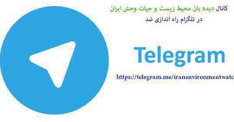 به کانال دیده بان محیط زیست بپیوندید.. آخرین اخبار واطلاعات محیط زیست و حیات وحش کشور