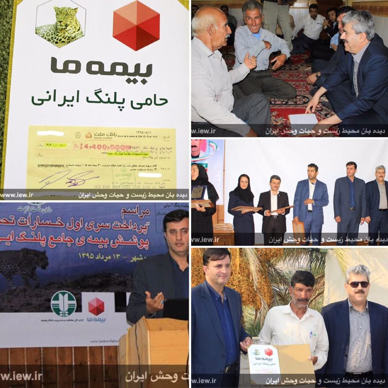 اولین مرحله از خسارات تحت پوشش بیمه نامه جامع پلنگ ایرانی طى مراسمى در بوشهر به زیاندیدگان پرداخت شد