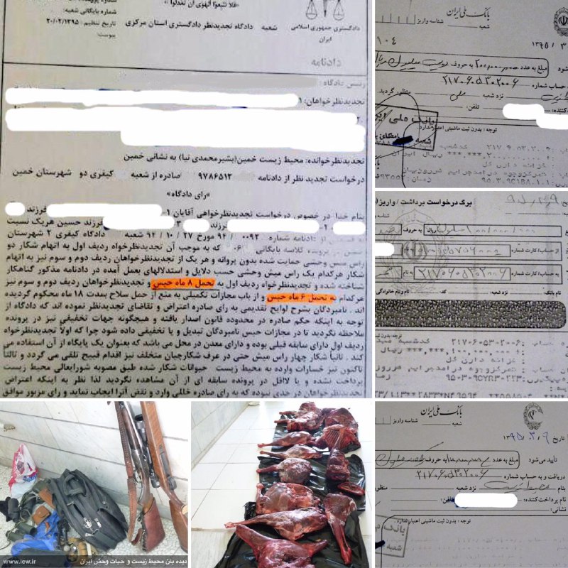 عاملین شکار غیرمجاز چهار میش وحشى در خمین علاوه بر پرداخت چهل میلیون تومان جزاى نقدى، از جنبه کیفرى جرم نیز به تحمل بیست ماه حبس م