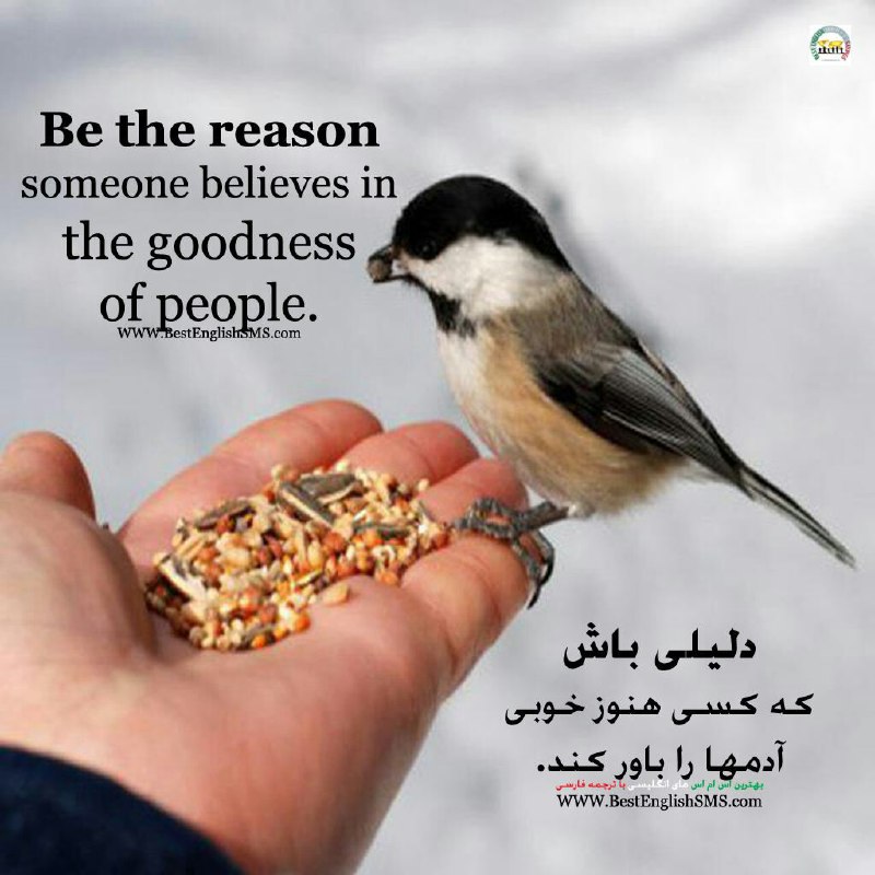 دلیلی باش که کسی هنوز خوبی آدمها را باور کند …