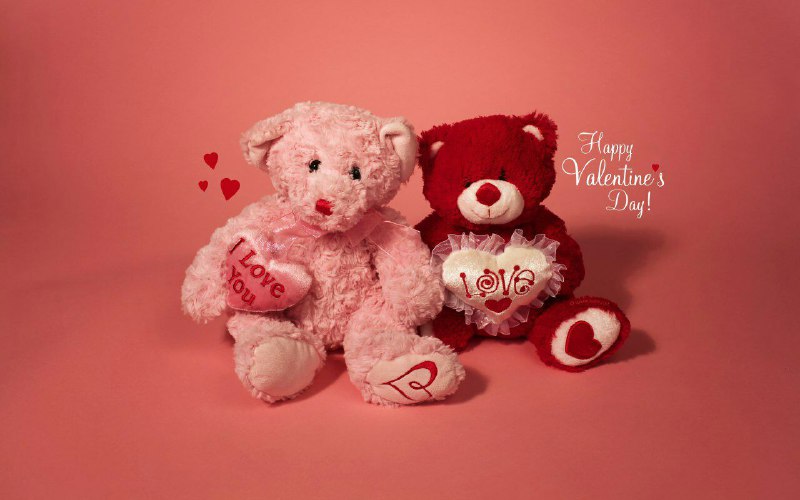 Happy Valentine's Day ❤️