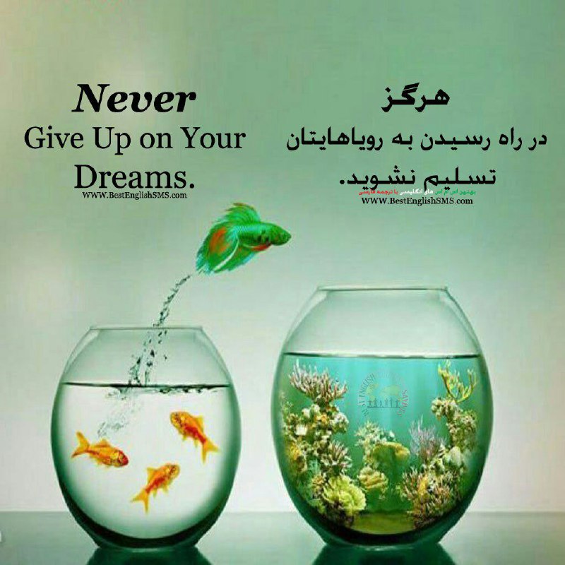 هرگز در راه رسیدن به رویاهایتان تسلیم نشوید …