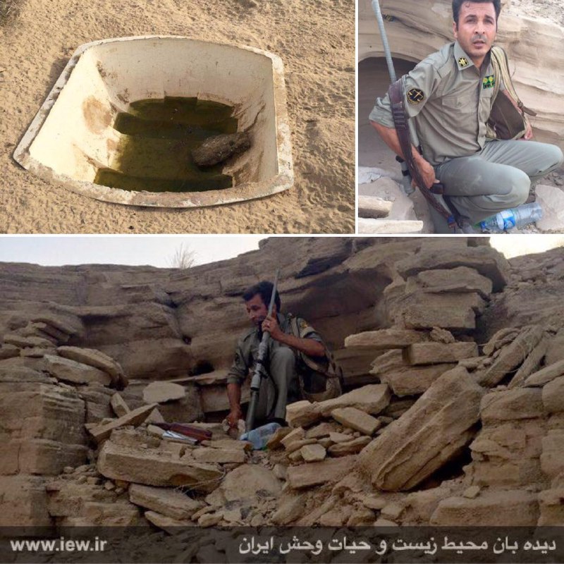 شکارچیان متخلفى که به منظور شکار غیرمجاز در زیستگاه جبیر اقدام به احداث آبشخور مصنوعى و مخیفگاه نموده بودند با تلاش محیطبانان بندر