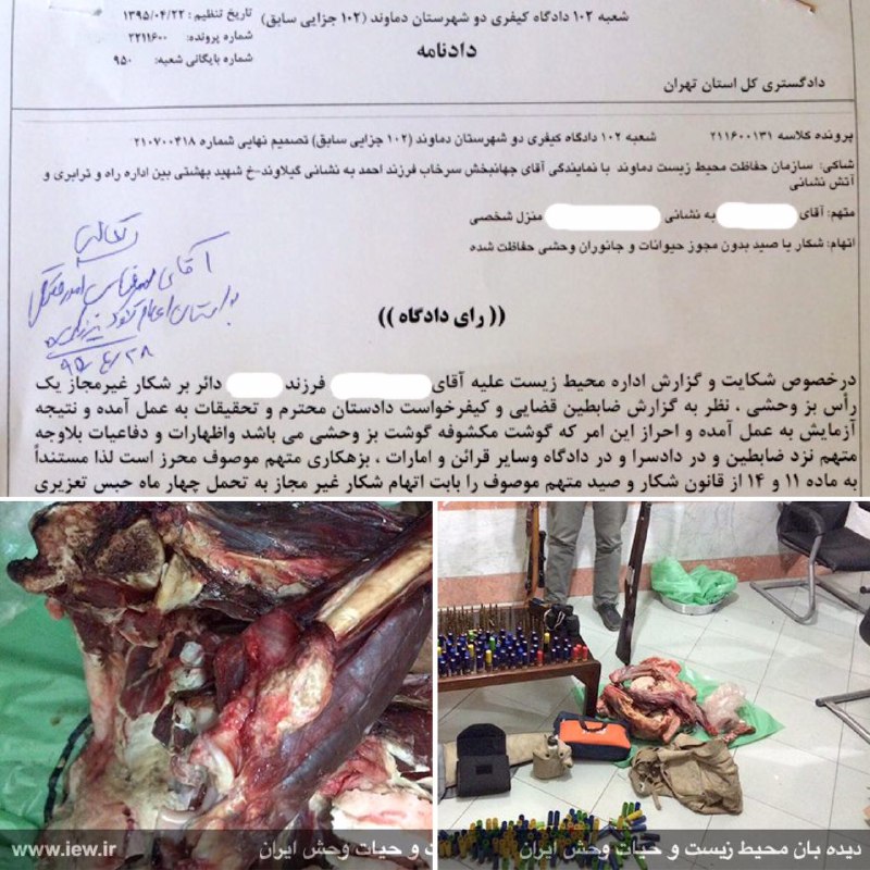 شکارچى متخلفى که گوشت شکار را با گوشت گوسفند مخلوط کرده بود، با پیگیرى محیط زیست دماوند و اعلام نظر آزمایشگاه درخصوص گوشتهاى کشف ش