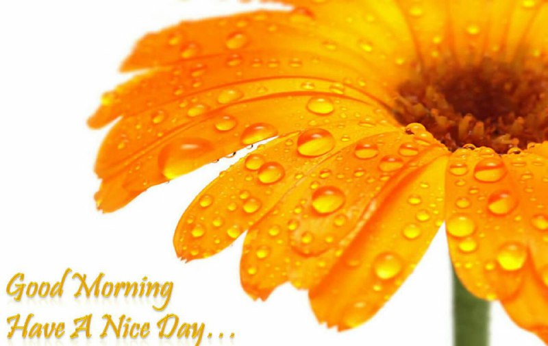 صبح یعنے یک معجزه. یعنے یک ایمان دوباره. به قدرت خداوند