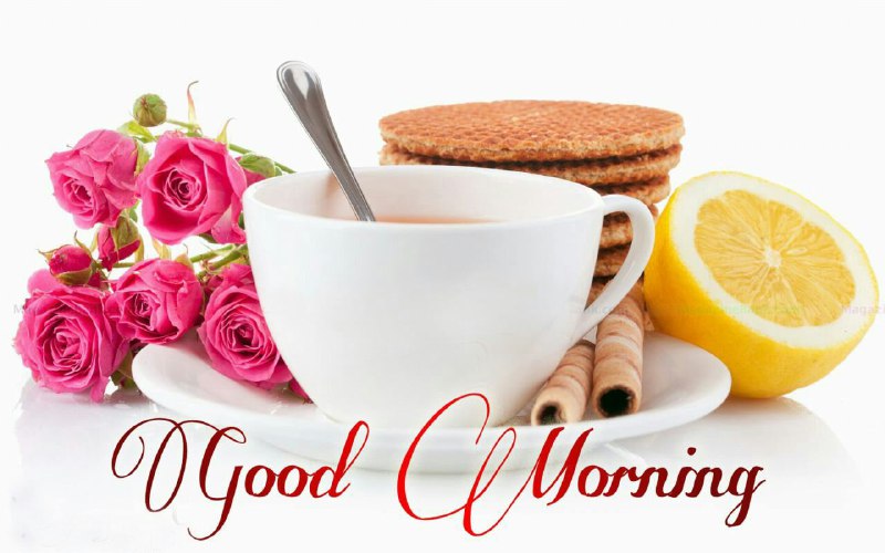 سلام دوستان 🖐.. صبح زیباتون بخیر 🌺.. Join Us👇🌷