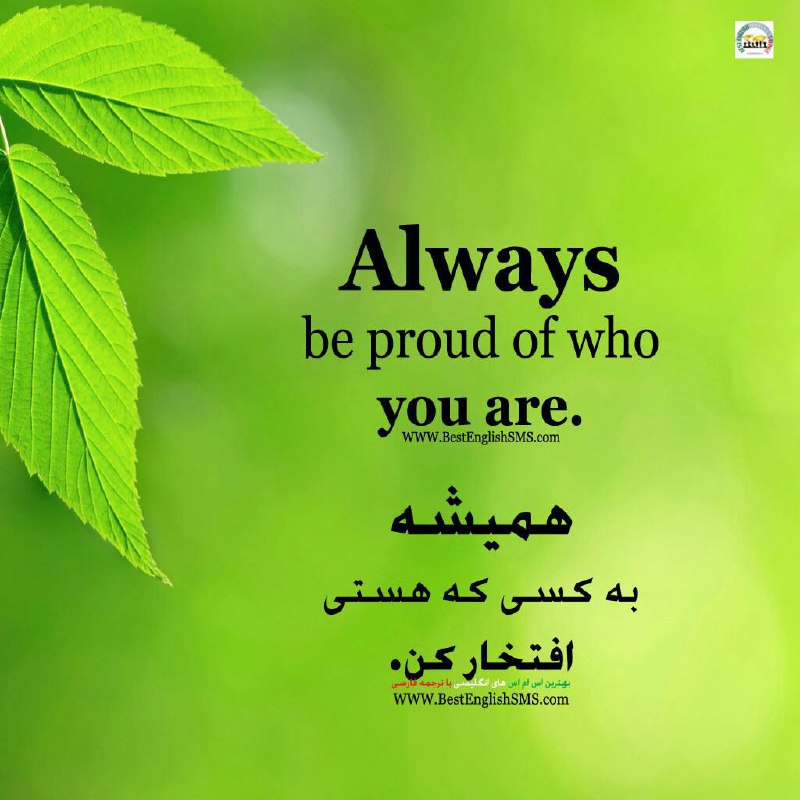 همیشه به کسی که هستی افتخار کن …Join Us👇🌷