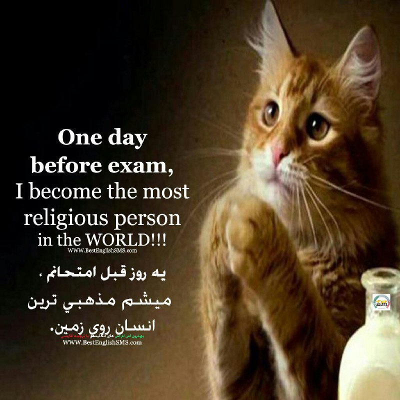 یه روز قبل امتحانم، میشم مذهبی‌ترین انسان روی زمین …Join Us👇🌷