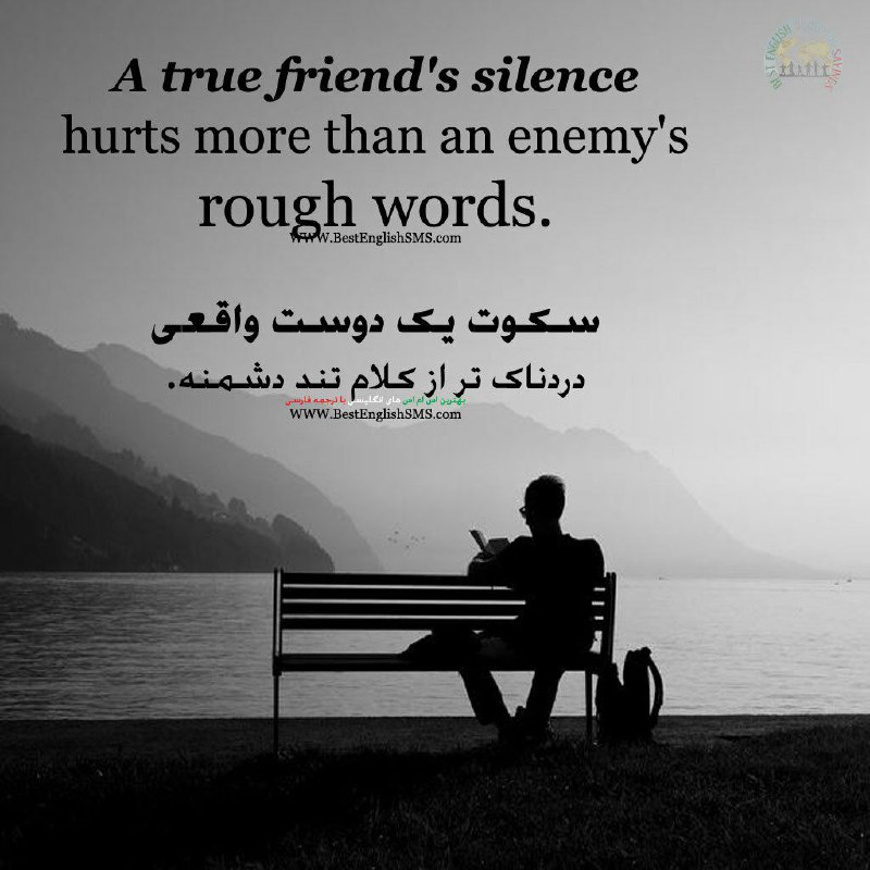 سکوت یک دوست واقعی دردناک‌تر از کلام تند دشمنه …
