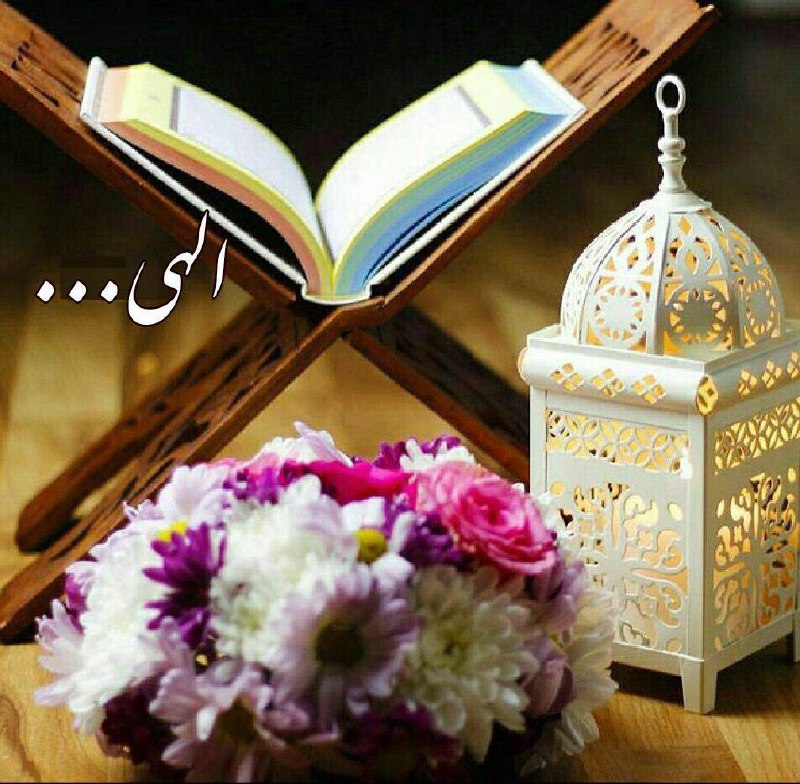 آامیدوارم خداوند امروز روبهترین روز زندگیتون قراربده🌸🍃. حال دلتون خوب باشه