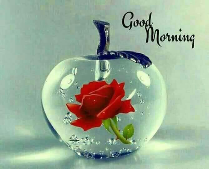 Good Morning Everybody 🌹✋🌺.. Join Us👇