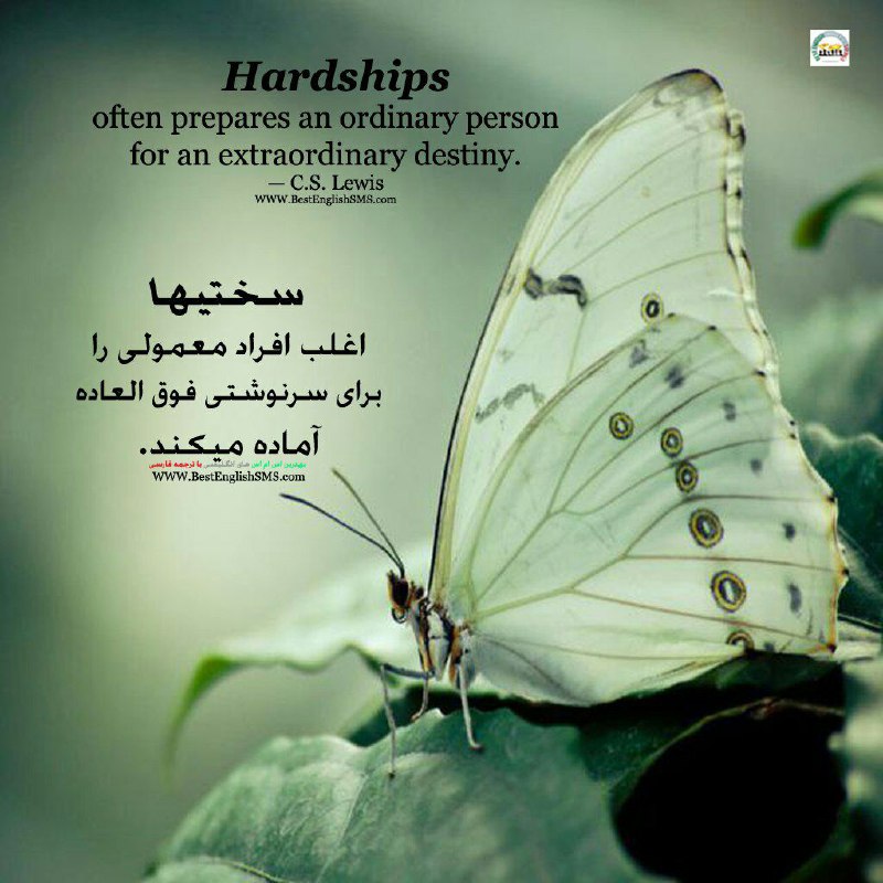 سختیها اغلب افراد معمولی را برای سرنوشتی فوق العاده آماده میکند.. — C. S