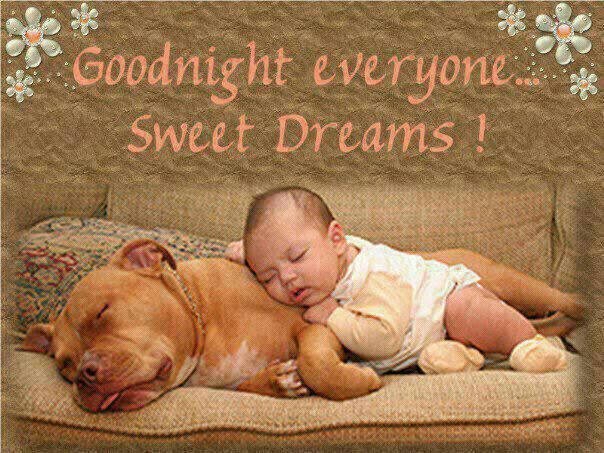 Good Night Everyone 🌺. Sweet Dreams!.. Join Us👇