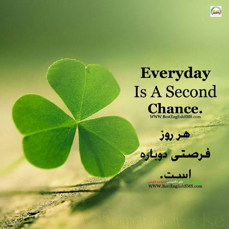 هر روز فرصتی دوباره است! ✌️.. Join Us👇🌷