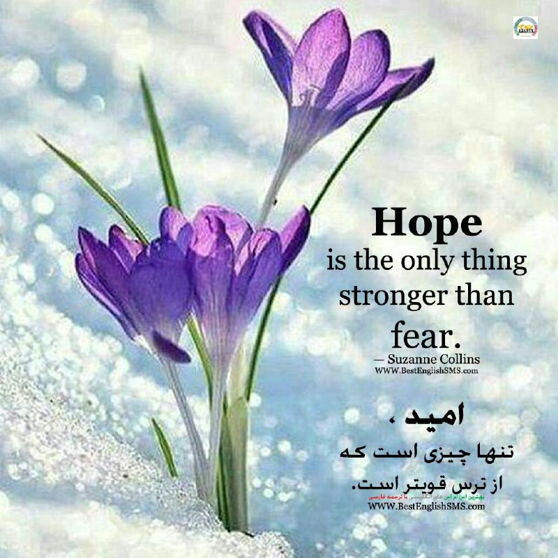 امید، تنها چیزی است که از ترس قویتر است. - سوزان کالینز.. Join Us👇🌷