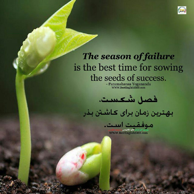 فصل شکست، بهترین زمان برای کاشتن بذر موفقیت است … Join Us👇🌷