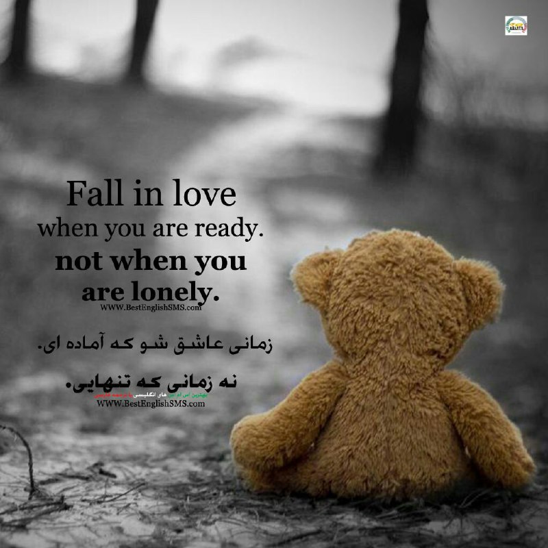 زمانی عاشق شو که آماده‌ای نه زمانی که تنهایی …Join Us👇🌷