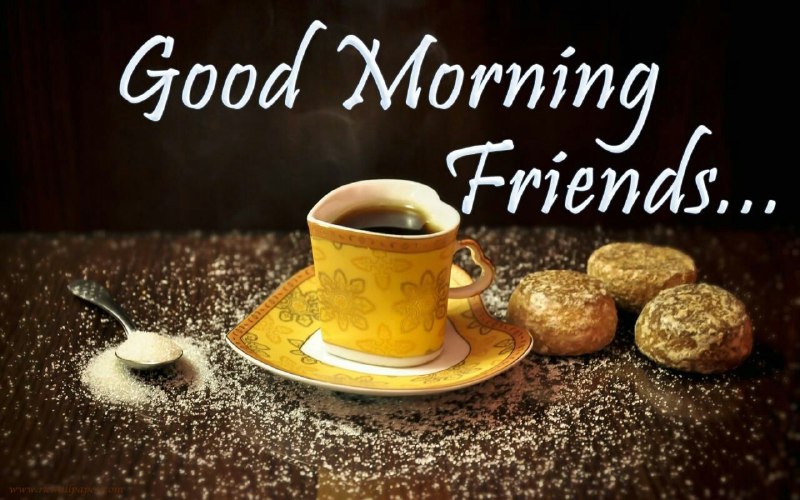 Good Morning Friends 🌺.. Join Us👇