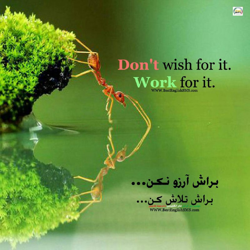 براش آرزو نکن … براش تلاش کن ….. Join Us👇🌷