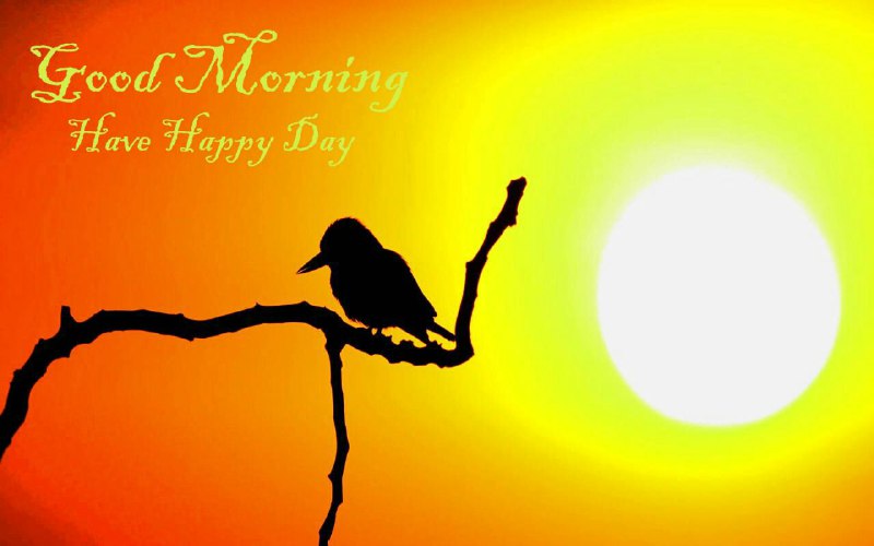 ﺩﻋﺎﯼ ﻗﺸﻨﮓ ﺍمروز.. ﺧﺪﺍﯾﺎ. ﺑﻪ ﺁﻧﭽﻪ ﮐﻪ ﺩﺍﺩﯼ ﺗﺸﮑﺮ