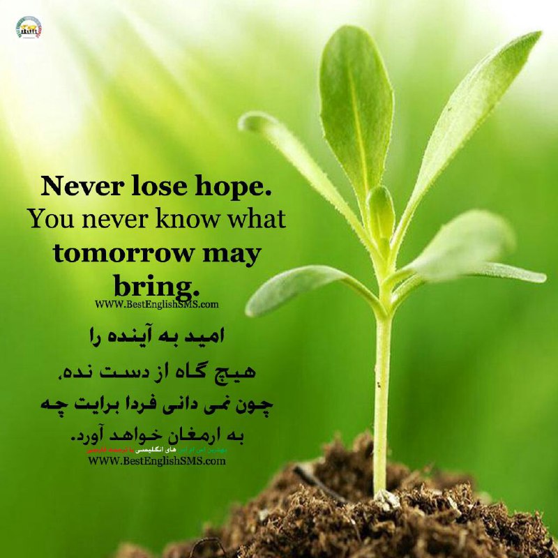 امید به آینده را هیچ گاه از دست نده، چون نمی‌دانی فردا برایت چه به ارمغان خواهد آورد... Join Us👇🌷