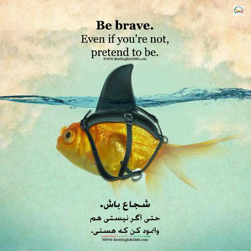 شجاع باش. حتی اگر نیستی هم وانمود کن که هستی …Join Us👇🌷