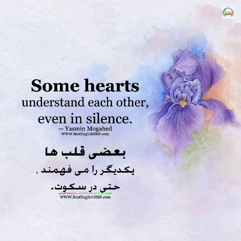 بعضی قلب‌ها یکدیگر را می‌فهمند، حتی در سکوت. - یاسمین مجاهد.. Join Us👇🌷