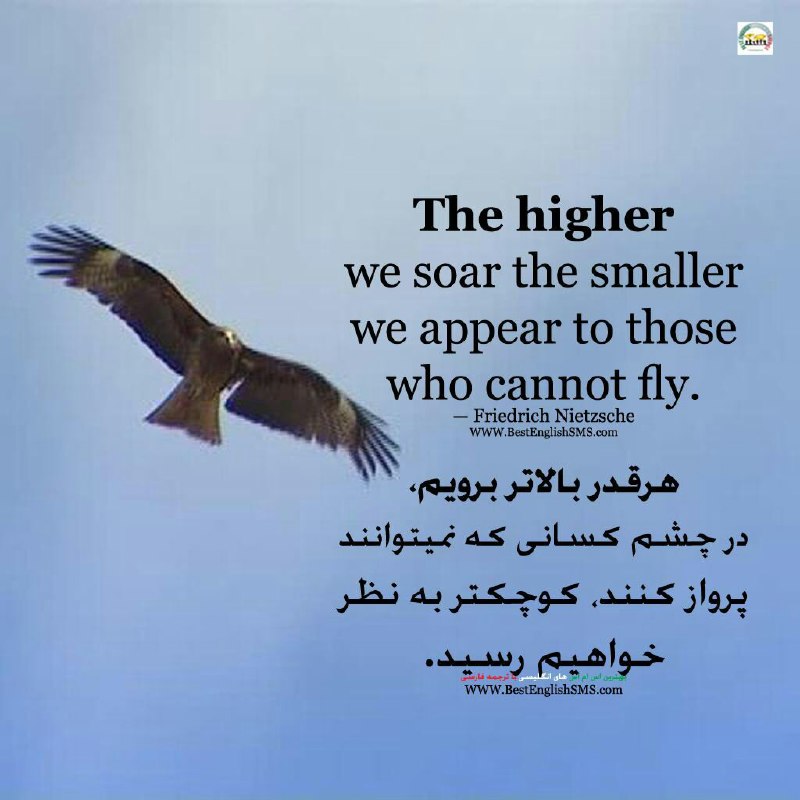 هرقدر بالاتر برویم، در چشم کسانی که نمیتوانند پرواز کنند، کوچکتر به نظر خواهیم رسید. - فردریش نیچه