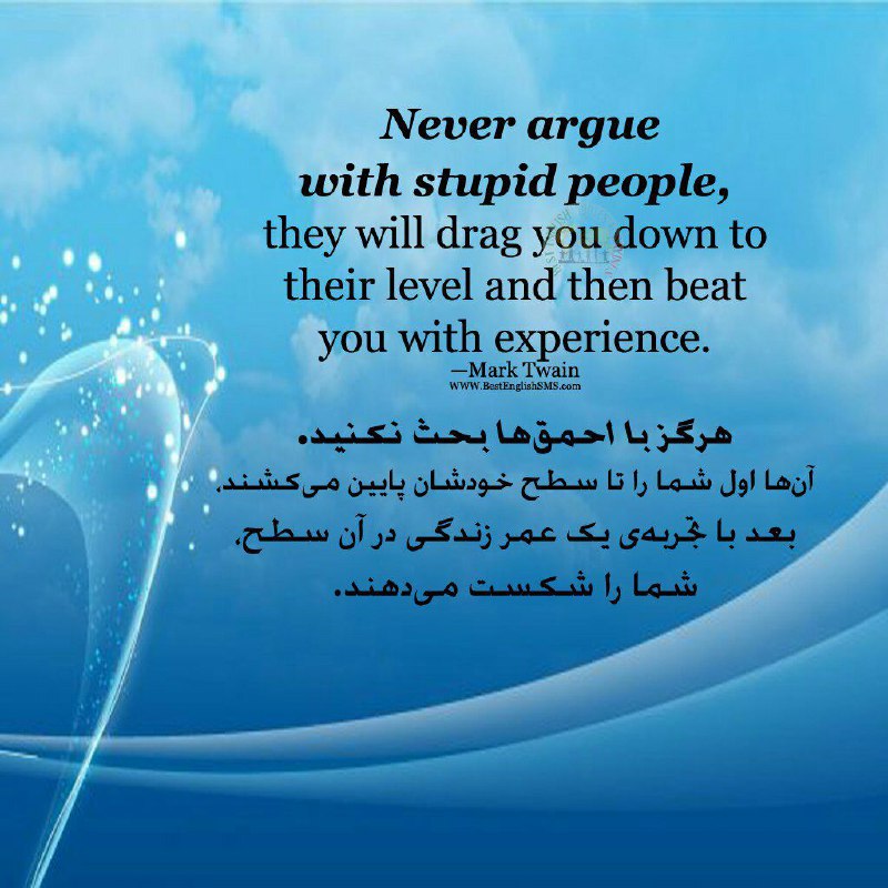 هرگز با احمق‌ها بحث نکنید
