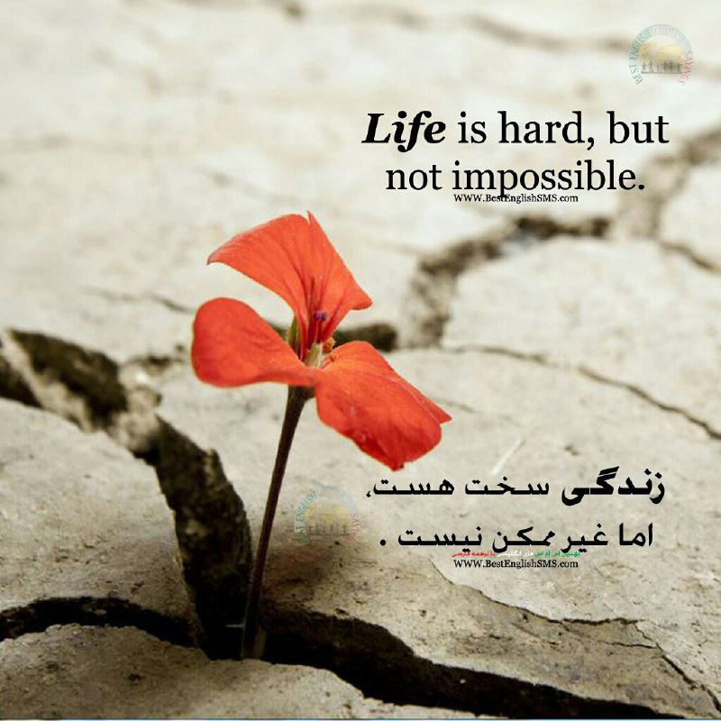 زندگی سخت هست،. اما غیر ممکن نیست …