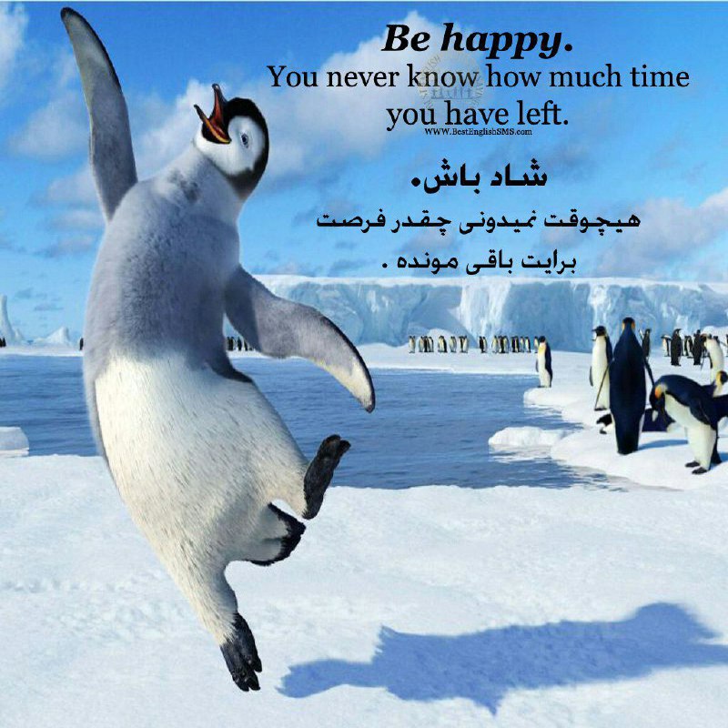 شاد باش. هیچوقت نمیدونى چقدر. فرصت برایت باقى مونده …