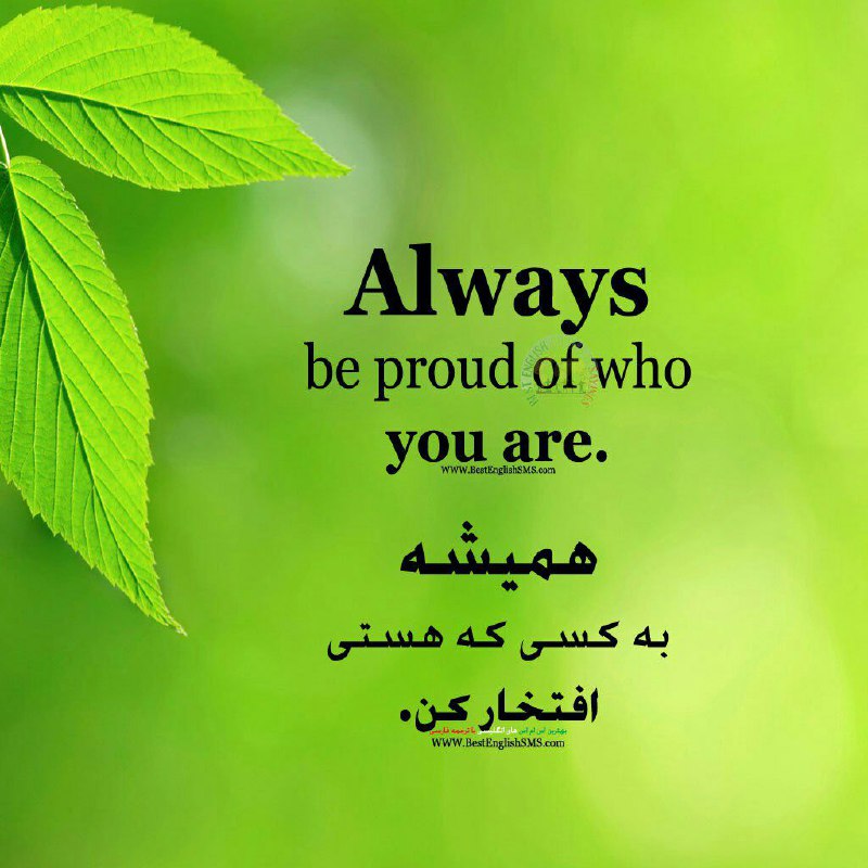 همیشه به کسی که هستی افتخار کن …