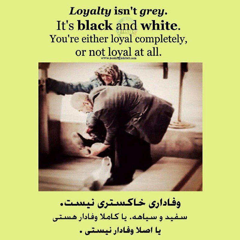وفادارى خاکسترى نیست.. سفید و سیاهه. یا کاملا وفادار هستى