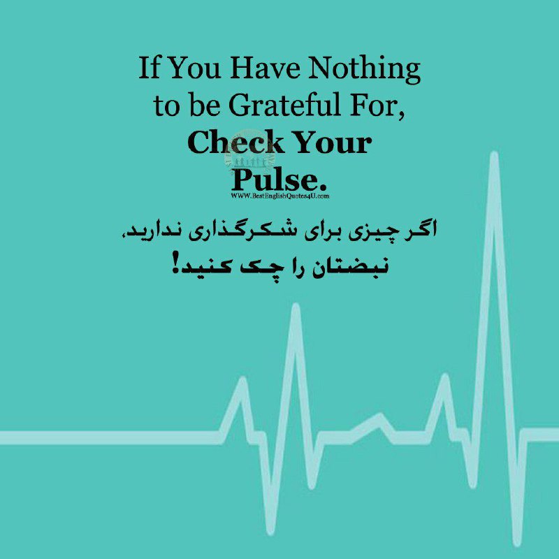 اگر چیزی برای شکرگذاری ندارید، نبضتان را چک کنید!