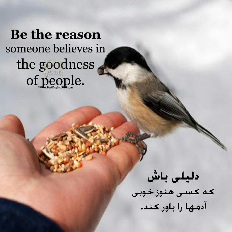 ‏دلیلی باش که کسی هنوز خوبی آدمها را باور کند …